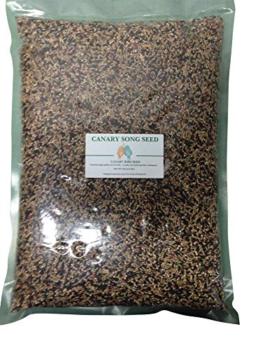 Canary Song Seed 5lb-Improve Singing