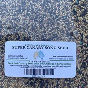 Canary Song Seed 5lb-Improve Singing