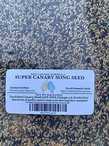 Canary Song Seed 5lb-Improve Singing