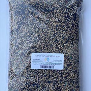 Canary Song Seed 5lb-Improve Singing