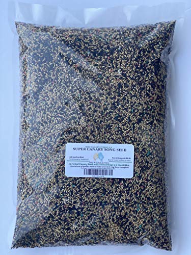 Canary Song Seed 5lb-Improve Singing