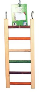 a&e cage company hb46417 happy beaks wooden hanging ladder, 14 inch, multicolor