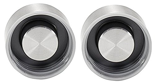 Brieftons Glass Bottles's Lids, Pack of 2 Stainless Steel Caps