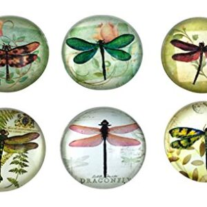 Value Arts Glass Dome Dragonfly Magnets, Assorted Set of 6