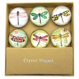 Value Arts Glass Dome Dragonfly Magnets, Assorted Set of 6