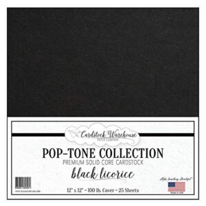 black licorice cardstock paper - 12 x 12 inch 100 lb. heavyweight cover - 25 sheets from cardstock warehouse