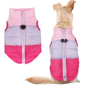 idepet pet dog cat coat with leash anchor color patchwork padded puppy vest jacket teddy chihuahua costumes pug cloth xs s m l (small, rose red)