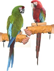 avianweb™ arm & hand perch (large (1.5" dowel))
