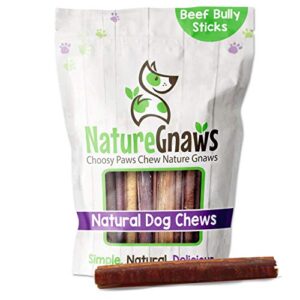 nature gnaws bully sticks for large dogs - premium natural beef dental bones - thick long lasting dog chew treats for aggressive chewers - rawhide free