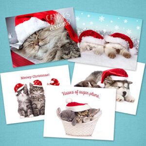 Christmas Cats Holiday Card Assortment Pack / 25 Seasonal Kitten Greeting Cards And Envelopes / 5 Sleeping Santa Animal Designs And Christmas Messages