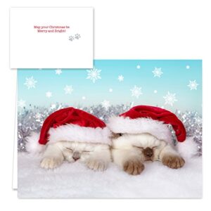 Christmas Cats Holiday Card Assortment Pack / 25 Seasonal Kitten Greeting Cards And Envelopes / 5 Sleeping Santa Animal Designs And Christmas Messages