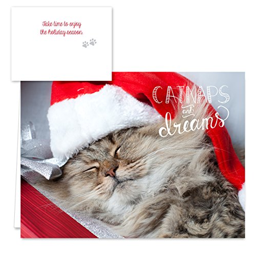 Christmas Cats Holiday Card Assortment Pack / 25 Seasonal Kitten Greeting Cards And Envelopes / 5 Sleeping Santa Animal Designs And Christmas Messages