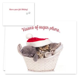 Christmas Cats Holiday Card Assortment Pack / 25 Seasonal Kitten Greeting Cards And Envelopes / 5 Sleeping Santa Animal Designs And Christmas Messages