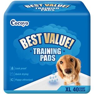 cocoyo best value training pads, 28" by 34" xl, 40 count