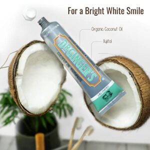 Dr. Ginger's Coconut Oil Toothpaste, All-Natural Oil Pulling & Xylitol for Fresh Breath, Gum Health, Plaque Prevention, and Sensitive Teeth, Fluoride-Free, Coconut Mint Flavor, 4oz, 1ct