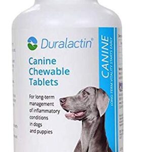 Duralactin Canine 1000mg 180ct Chewable Tabs for Dogs Vanilla Flavored