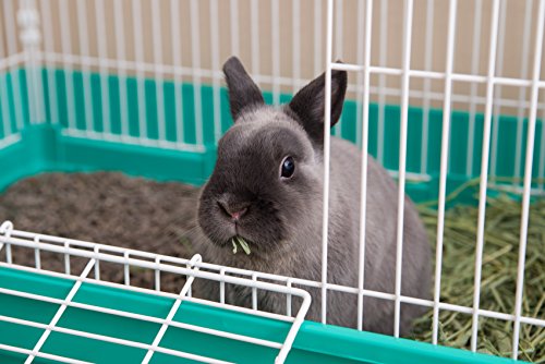 IRIS USA Medium Wire Animal House, Easy to Clean Cage with Wide Access Drop Down Door for Small-Sized Pets Animals Rabbits Guinea Pigs Rats, Green