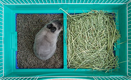 IRIS USA Large Portable Wire Rabbit Cage with Top Access and Two Tray Division, Easy Access Secure Lock and Easy to Clean Movable House for Small Sized Animals Rabbit Guinea Pigs Rat Hamster, Green