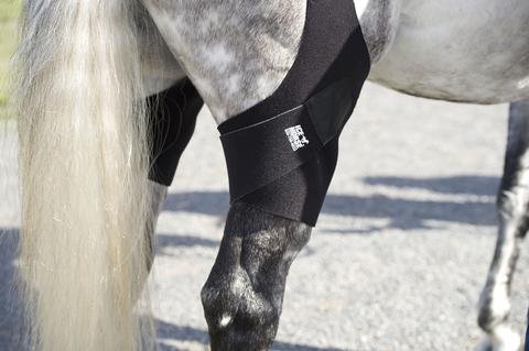 Ice Horse Pair of Stifle Wraps for Equine Therapy - Comes with 4 Ice Packs