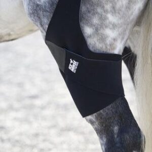 Ice Horse Pair of Stifle Wraps for Equine Therapy - Comes with 4 Ice Packs