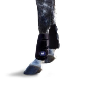 ice horse single tendon leg wrap for equine therapy - comes with 2 ice packs