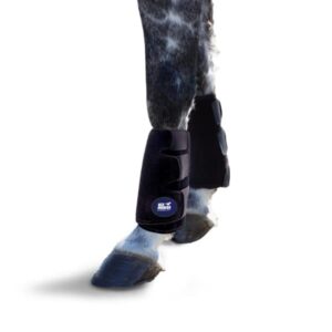 Ice Horse Single Tendon Leg Wrap for Equine Therapy - Comes with 2 Ice Packs