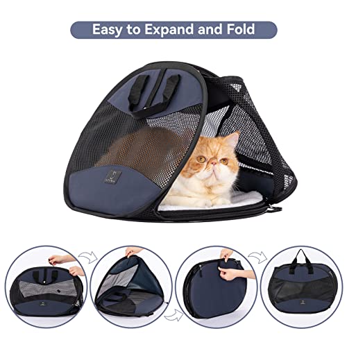 A4Pet Cat Travel Carrier, Collapsible Cat Carrier Bag Airline Approved with Zipper Lock and Removable Washable Mat for Car, Indoor & Outdoor Use