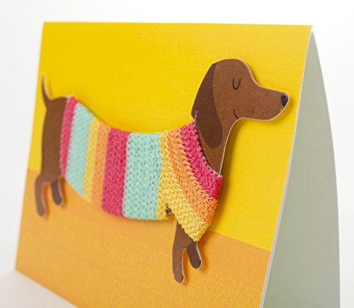 Hallmark Signature Birthday Card with Removable Dachshund Magnet (Dog in Sweater)