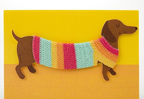 Hallmark Signature Birthday Card with Removable Dachshund Magnet (Dog in Sweater)