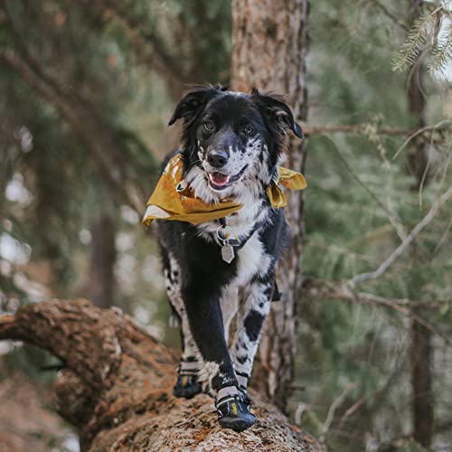 QUMY Dog Shoes for Large Dogs, Medium Dog Boots & Paw Protectors for Winter Snowy Day, Summer Hot Pavement, Waterproof in Rainy Weather, Outdoor Walking, Indoor Hardfloors Anti Slip Sole Black Size 6