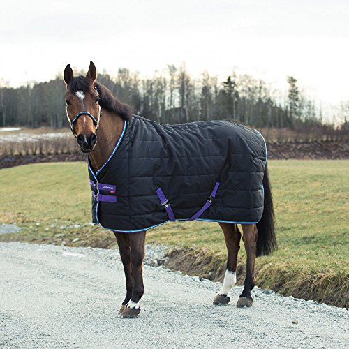 B Vertigo Corey 250G Stable Blanket, Black - 75