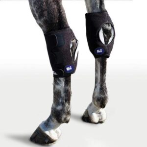 ice horse pair hock wraps for equine therapy - comes with 6 ice packs