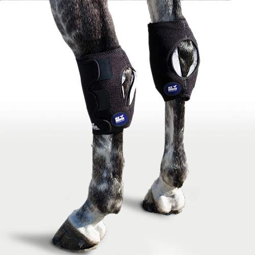 Ice Horse Pair Hock Wraps for Equine Therapy - Comes with 6 Ice Packs