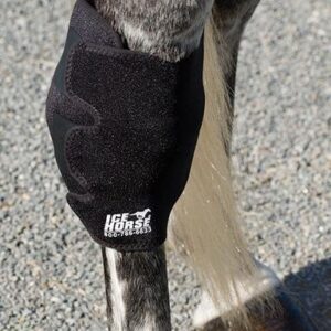 Ice Horse Pair Hock Wraps for Equine Therapy - Comes with 6 Ice Packs