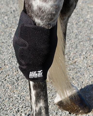 Ice Horse Pair Hock Wraps for Equine Therapy - Comes with 6 Ice Packs