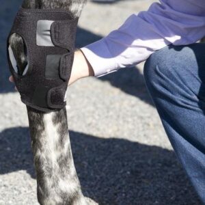 Ice Horse Pair Hock Wraps for Equine Therapy - Comes with 6 Ice Packs