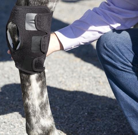 Ice Horse Pair Hock Wraps for Equine Therapy - Comes with 6 Ice Packs