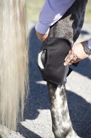 Ice Horse Single Hock Wraps for Equine Therapy - Comes with 3 Ice Packs