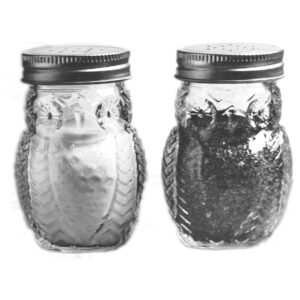 Circleware Elegant Owl Shaped Glass Mason Salt and Pepper Shakers with Metal Lids, Perfect for Himalayan Seasoning Herbs Spices, 2-Piece Set