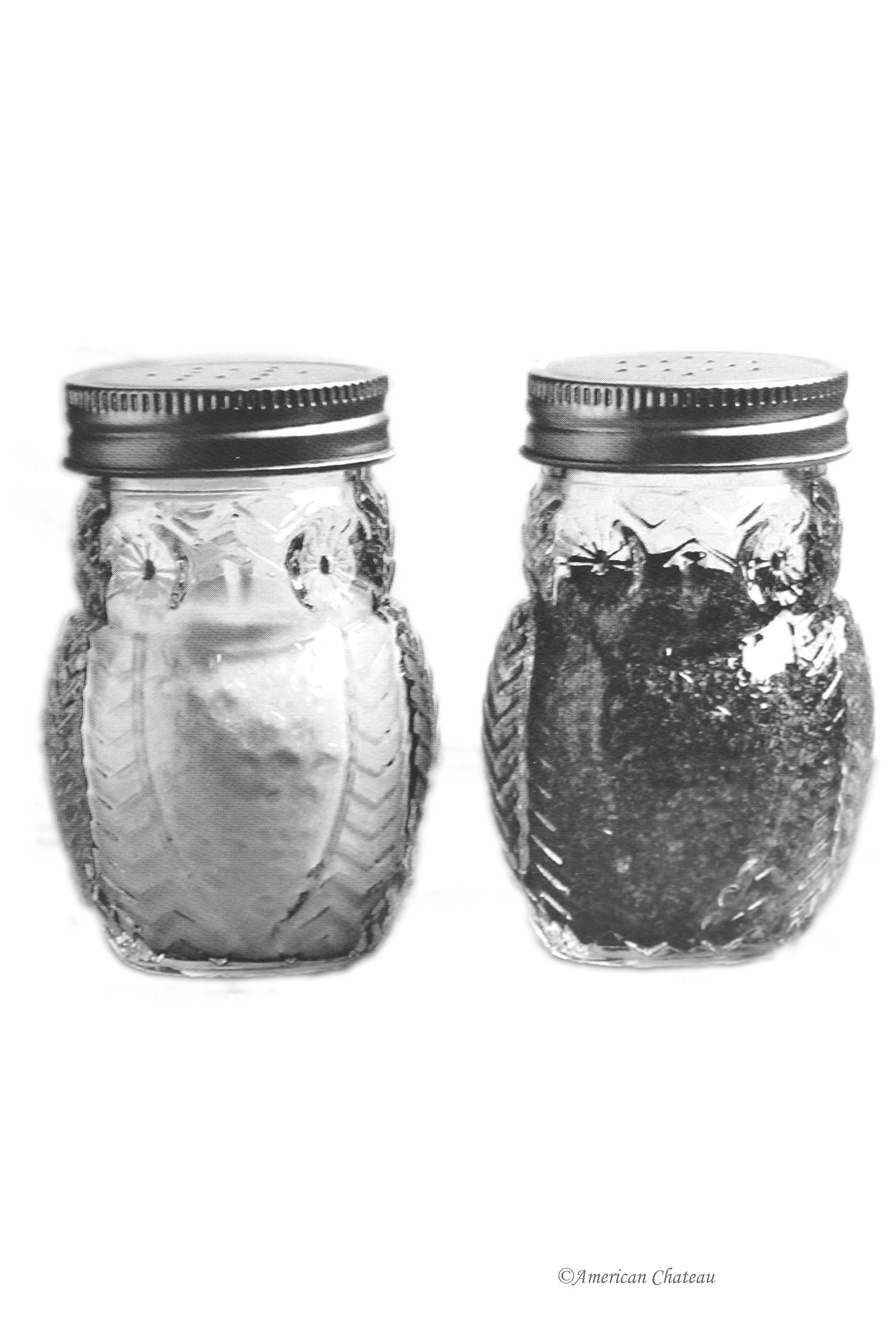 Circleware Elegant Owl Shaped Glass Mason Salt and Pepper Shakers with Metal Lids, Perfect for Himalayan Seasoning Herbs Spices, 2-Piece Set