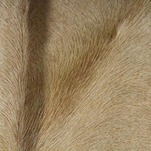 rodeo Cowhide Rug Giant Size Butter Cream 7x8 ft