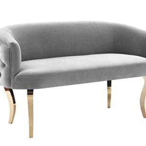 Tov Furniture The Adina Collection Contemporary Living Room Velvet Upholstered Loveseat, Grey with Gold Legs