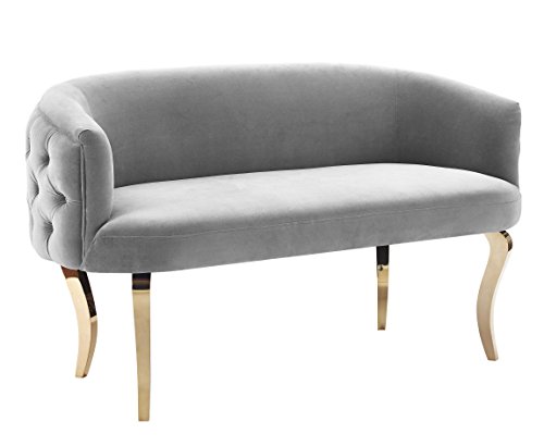 Tov Furniture The Adina Collection Contemporary Living Room Velvet Upholstered Loveseat, Grey with Gold Legs