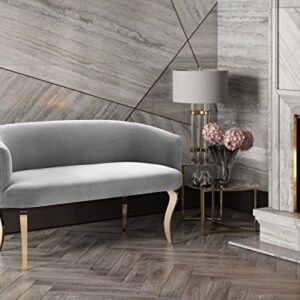 Tov Furniture The Adina Collection Contemporary Living Room Velvet Upholstered Loveseat, Grey with Gold Legs