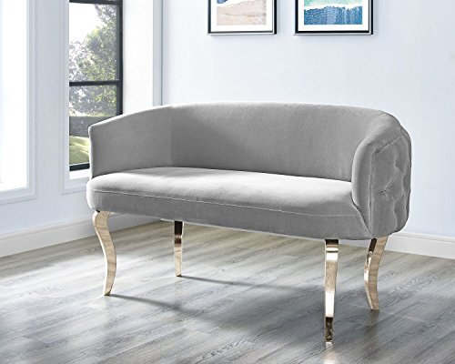 Tov Furniture The Adina Collection Contemporary Living Room Velvet Upholstered Loveseat, Grey with Gold Legs