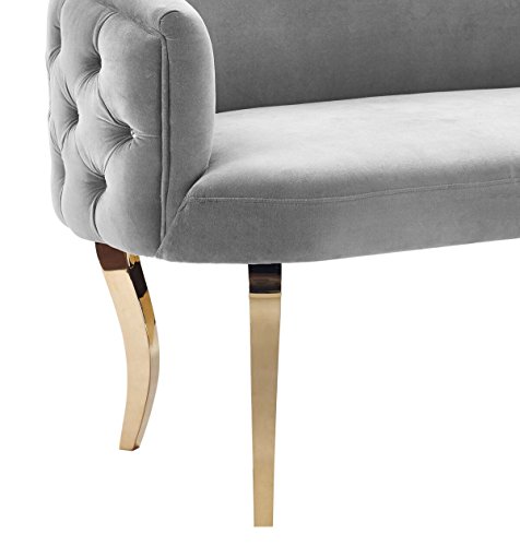 Tov Furniture The Adina Collection Contemporary Living Room Velvet Upholstered Loveseat, Grey with Gold Legs