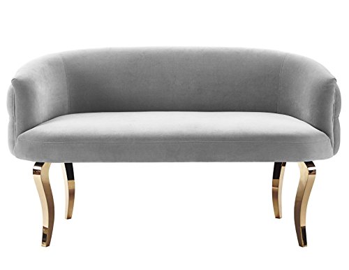 Tov Furniture The Adina Collection Contemporary Living Room Velvet Upholstered Loveseat, Grey with Gold Legs