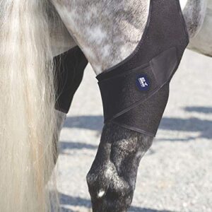 ice horse pony size pair stifle wrap for equine therapy - comes with 4 ice packs
