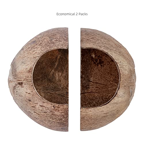 Niteangel 2 Pack Natural Coconut Reptile Hideouts, Lizard, Spider and Aquarium Fish Hide Cave (Smooth Surface)