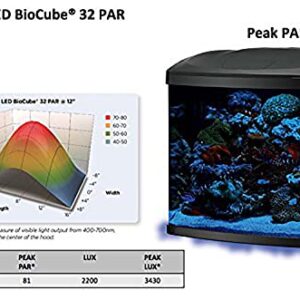 Coralife LED Biocube Hinge-Top Canopy | Replacement Canopy| Upgrade Fluorescent Aquariums into LED.